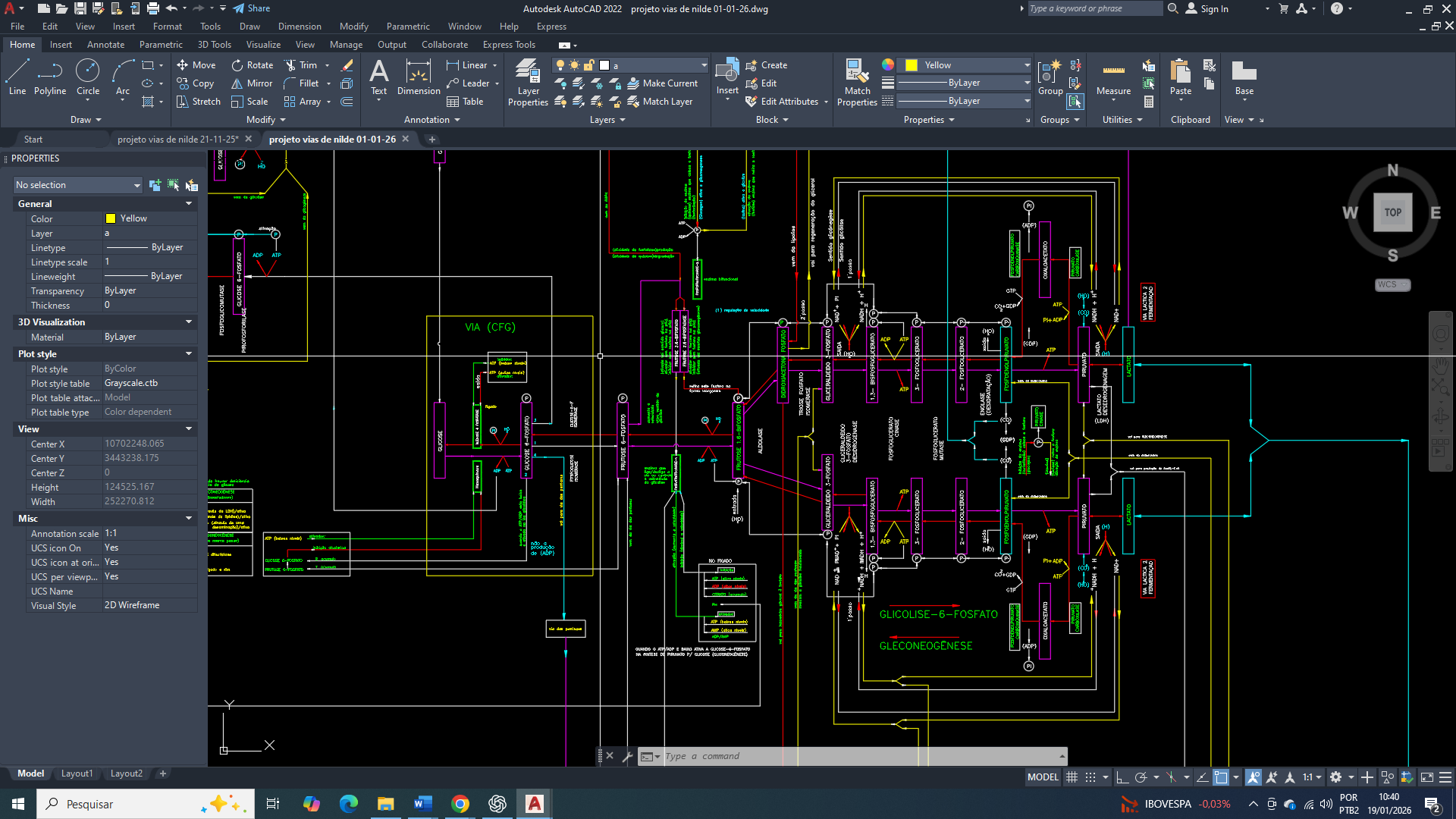 Câncer de Mama: Comparação Bioenergética entre a Via da Glicose-6-Fosfato e a Mitocôndria na Reprogramação do Metabolismo Celular