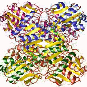 Câncer de Mama: Consolidação do Restabelecimento da Produção de ATP na Reprogramação do Metabolismo Celular