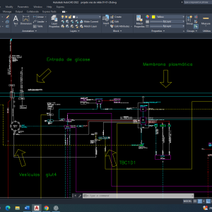 Câncer de Mama: AMPK e a Regulação da Captação de Glicose na Reprogramação do Metabolismo Celular