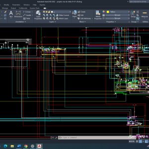 Câncer de Mama: Predominância da Sinalização da AMPK sobre a Insulina na Regulação do GLUT1