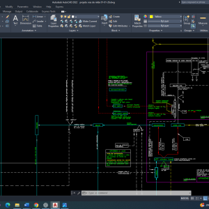 Câncer de mama: controle bioquímico da acetil-CoA carboxilase no contexto da reprogramação metabólica, AMPK e sinalização insulínica